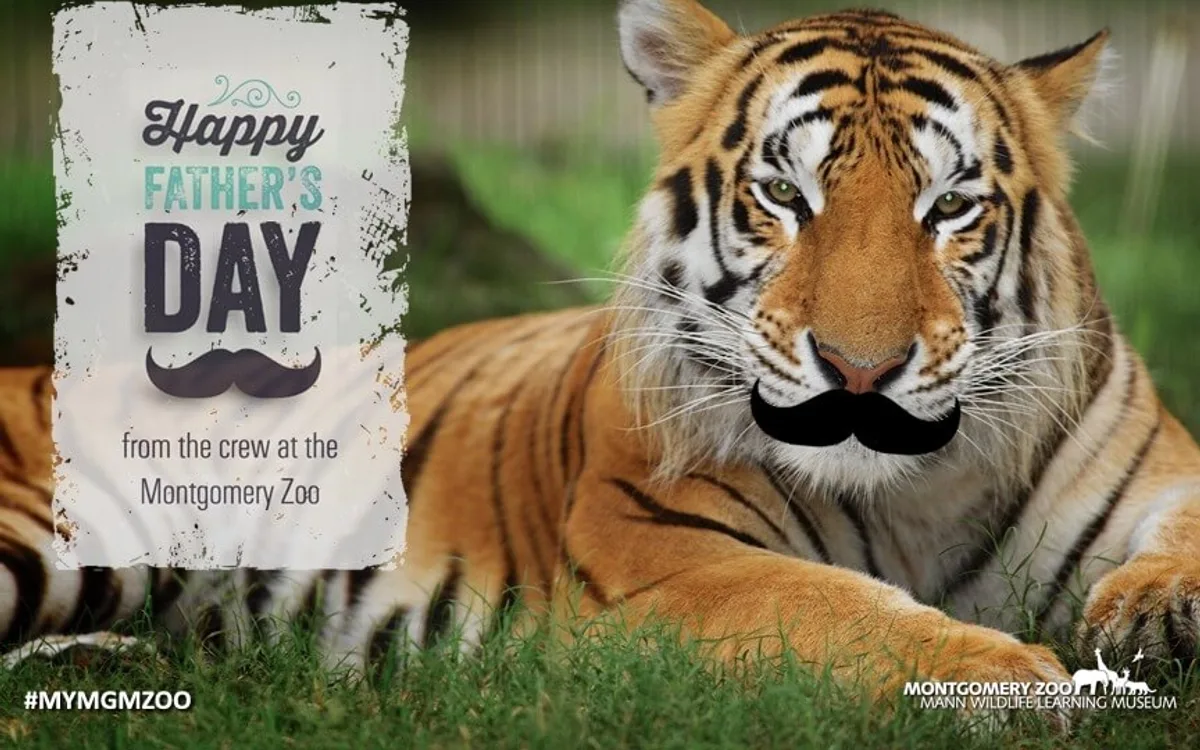 Father's Day at Zoo